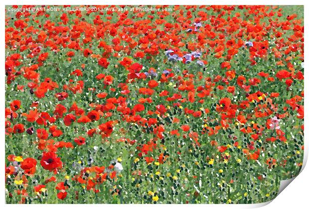 POPPY FIELDS OIL PICTURE Print by Anthony Kellaway