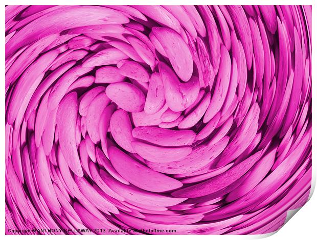 LILAC PEBBLE SWIRL ABSTRACT Print by Anthony Kellaway