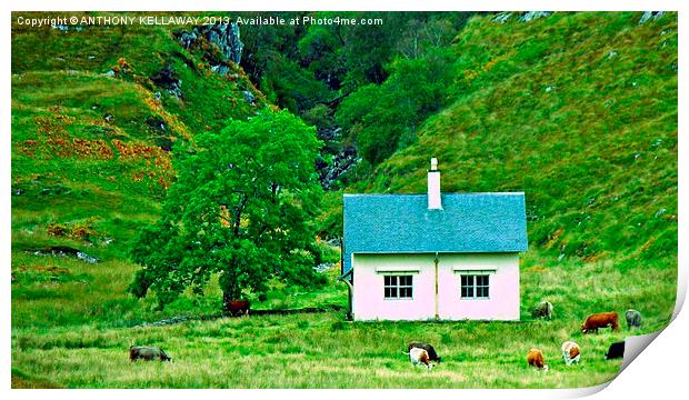 Scottish cottage Crosben Print by Anthony Kellaway