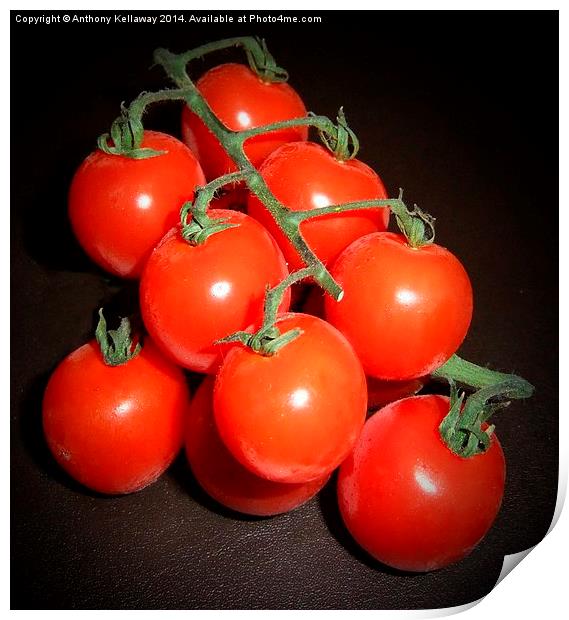 CHERRY TOMATOES Print by Anthony Kellaway
