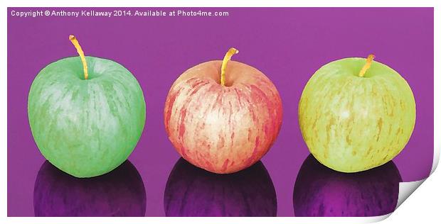  APPLES  Print by Anthony Kellaway