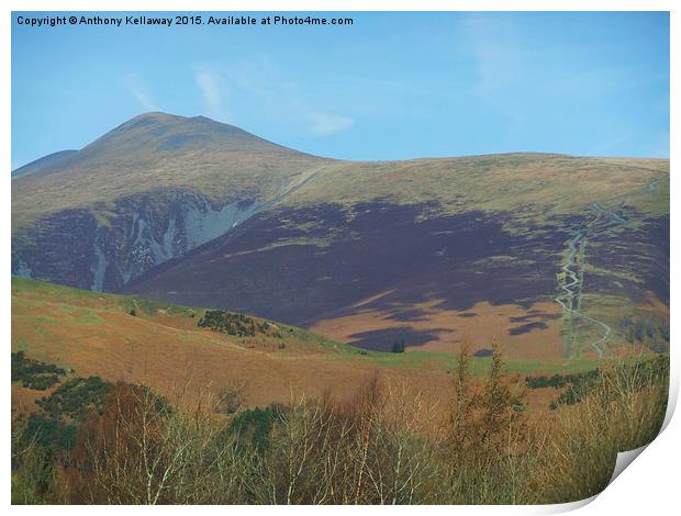  SKIDDAW AND JENKIN HILL Print by Anthony Kellaway