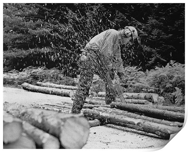 Scottish Lumberjack Print by Howard Little