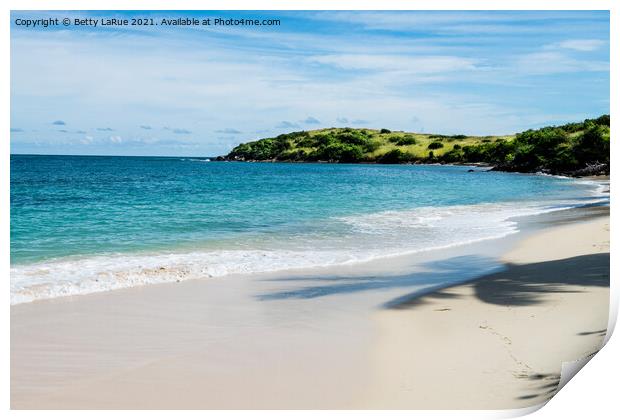 Tropical Island Beach Print by Betty LaRue