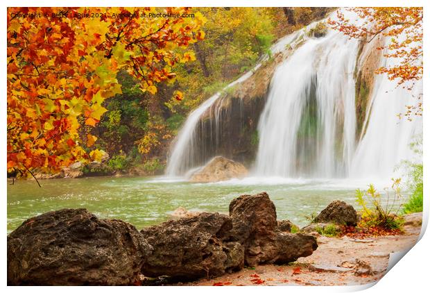 Waterfall in Autumn Print by Betty LaRue