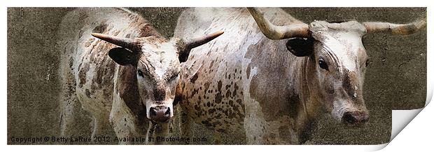 Texas Longhorn Cattle Print by Betty LaRue