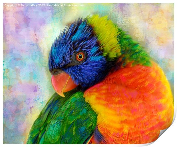 Colorful Rainbow Lorikeet Print by Betty LaRue