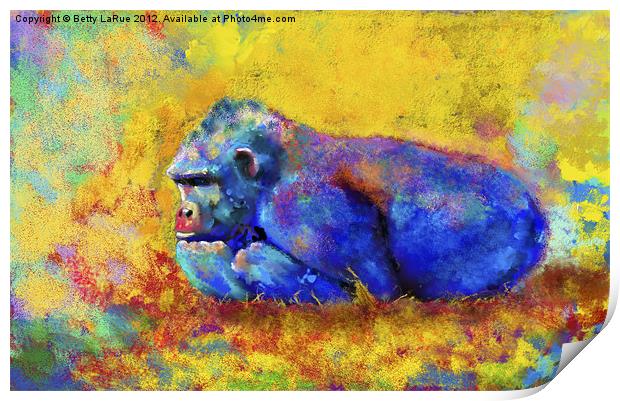 Gorilla Print by Betty LaRue