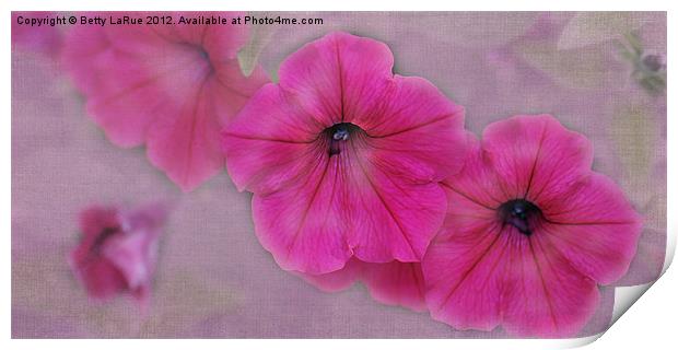 Pink Petunias Print by Betty LaRue