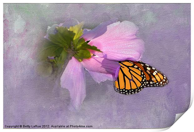 Sunlit Monarch Butterfly Print by Betty LaRue