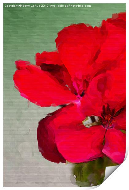 Red Geranium Print by Betty LaRue