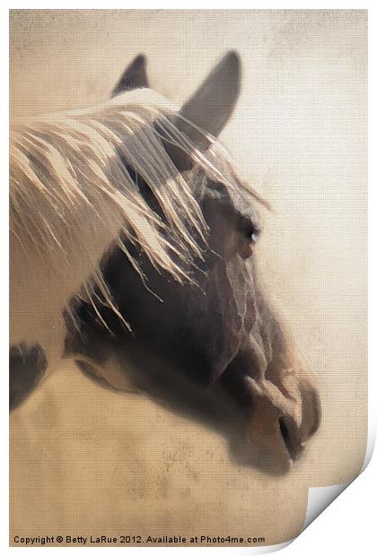 Paint Horse Portrait Print by Betty LaRue