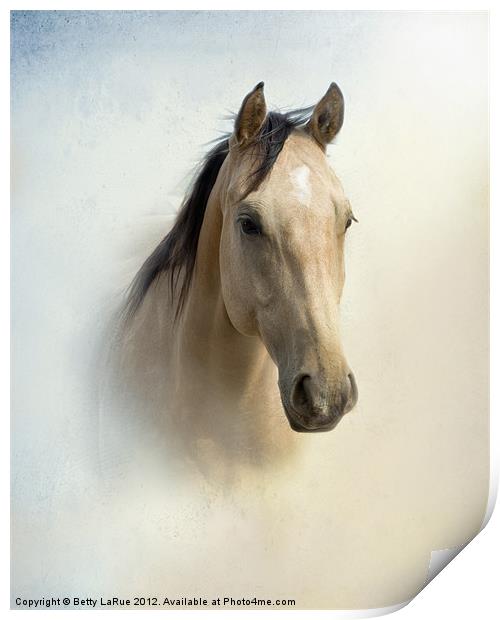 Mister Buckskin Print by Betty LaRue