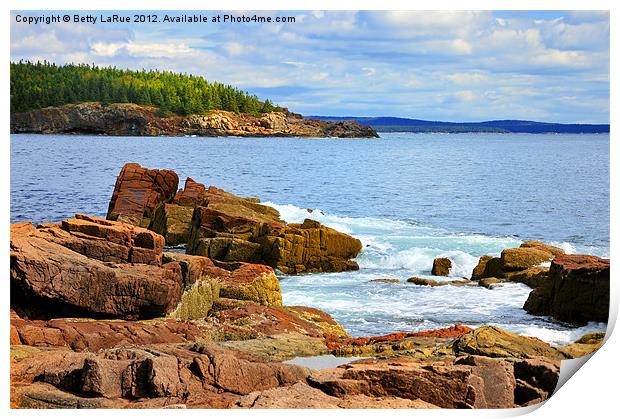 Mt. Desert Island View Print by Betty LaRue