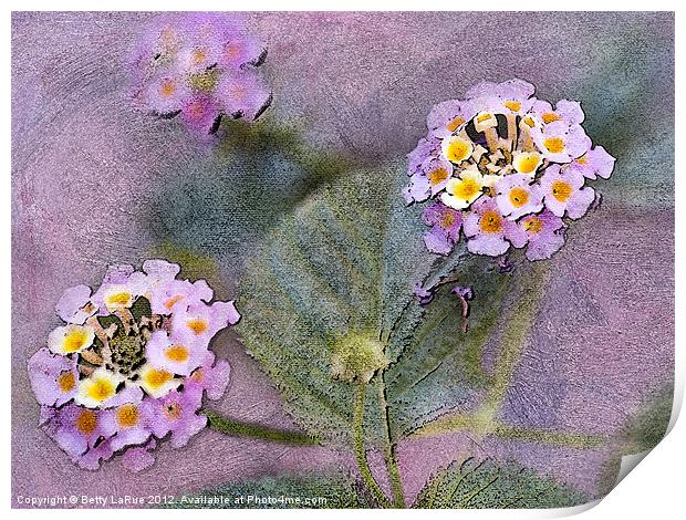 Floral Lantana Print by Betty LaRue