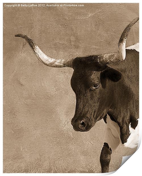 Texas Longhorn #5 Print by Betty LaRue