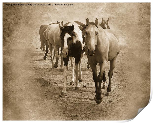 American Quarter Horse Herd in Sepia Print by Betty LaRue