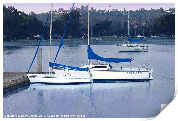 San Diego Sailboats Print by Betty LaRue