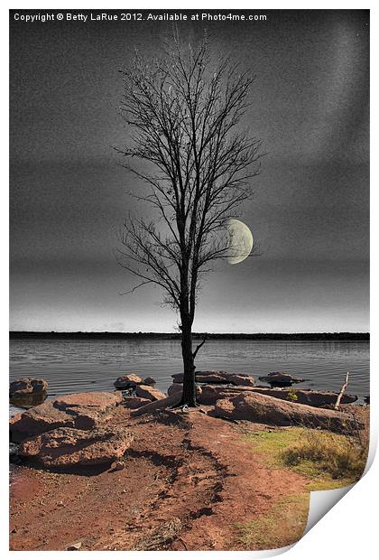 The Lone Tree Print by Betty LaRue