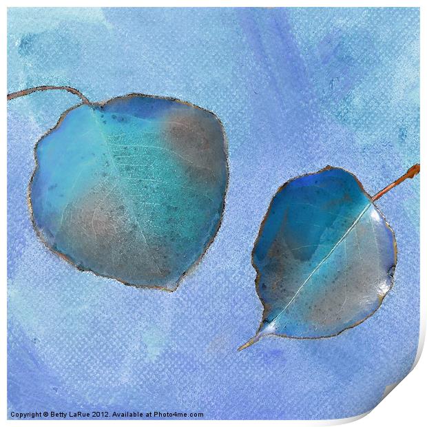 Leaf Study in Blue Print by Betty LaRue