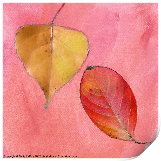 Leaf Study in Pink Print by Betty LaRue