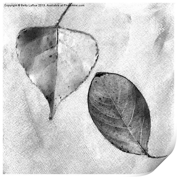 Leaves in Black and White Print by Betty LaRue