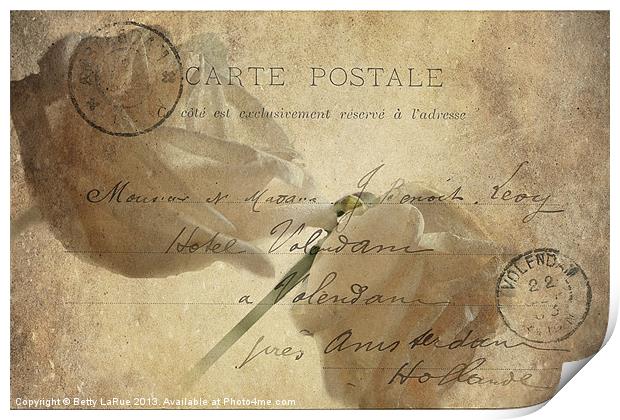 Carte Postale Print by Betty LaRue