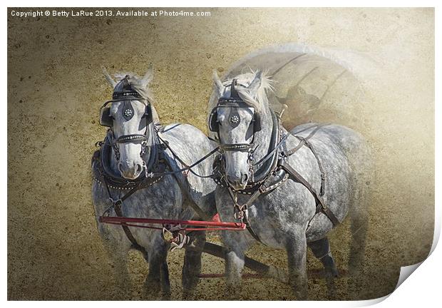 Giddyup Print by Betty LaRue