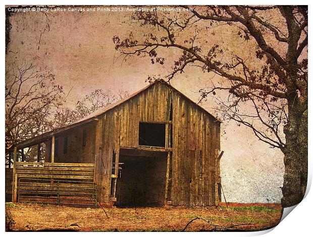 Vintage Wood Barn Print by Betty LaRue