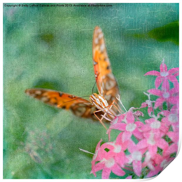Summer Butterfly Print by Betty LaRue