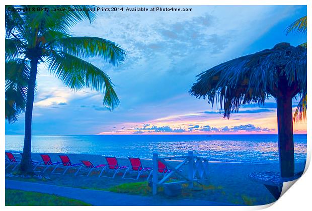 Tropical Paradise Print by Betty LaRue
