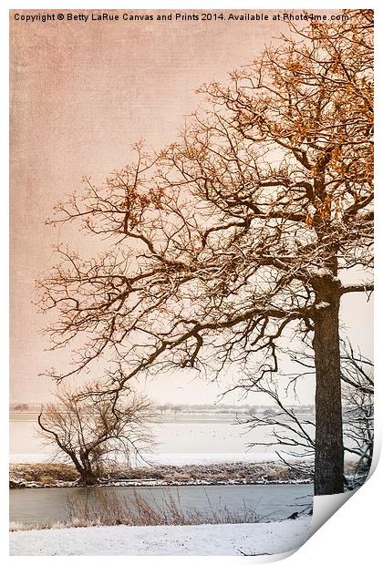 The Beauty of Winter Print by Betty LaRue