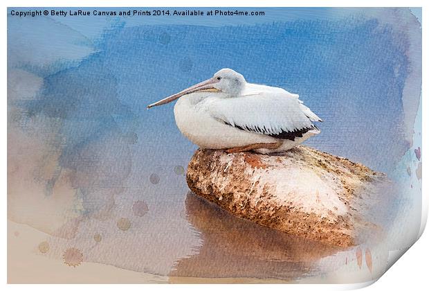Pelican Peace Print by Betty LaRue