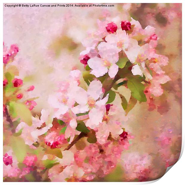 Spring Pink Print by Betty LaRue