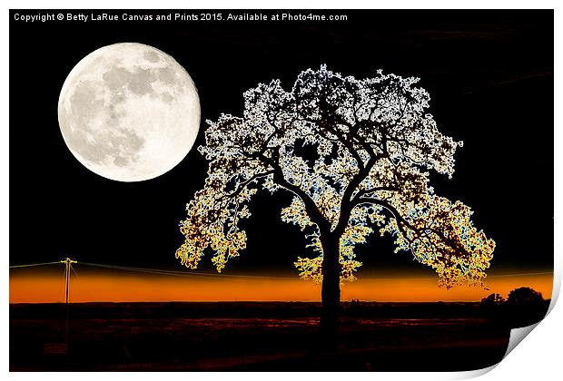  Wedded to the Moon Print by Betty LaRue