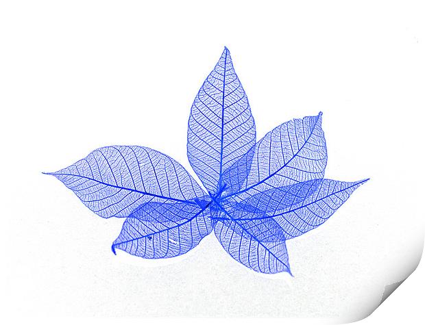 Leaves Print by Rebecca  Young