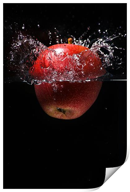 Apple Splash Print by Alan Todd