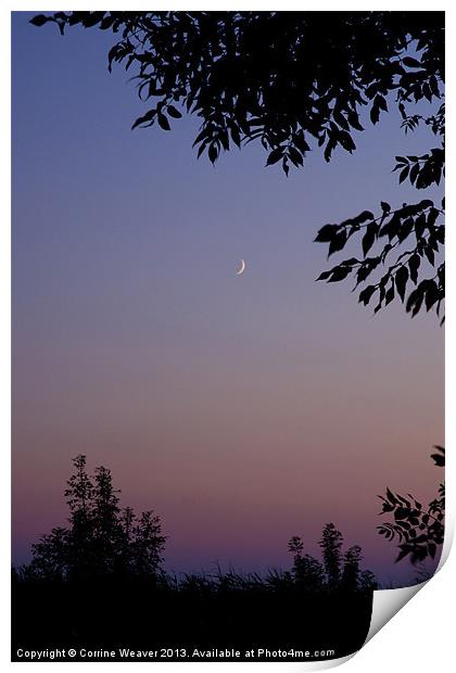 Little moon ! Print by Corrine Weaver