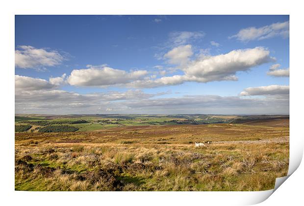 Stainton Moor Print by Andrew Roland