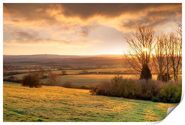 Golden winters morning, England Print by Andrew Roland