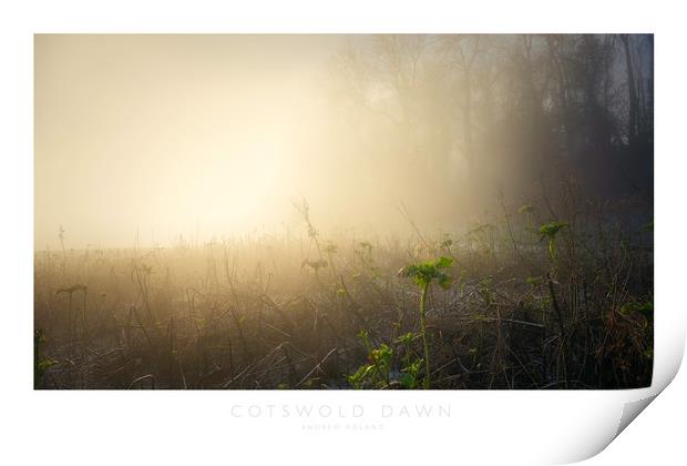 Cotswold Dawn Print by Andrew Roland