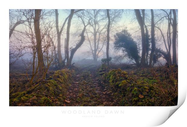 Woodland Dawn Print by Andrew Roland