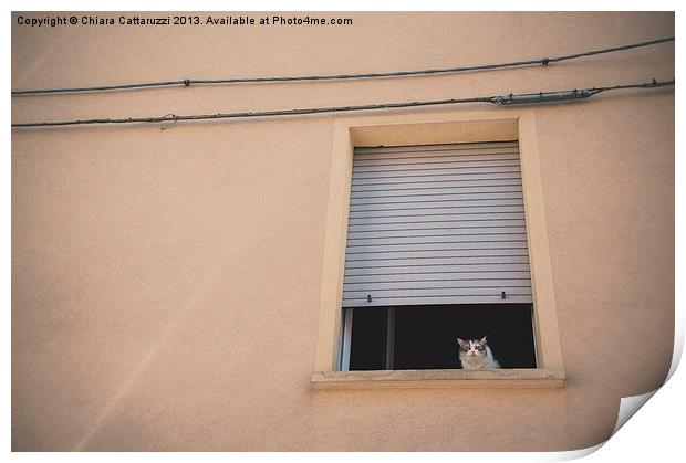 The cat in the window Print by Chiara Cattaruzzi