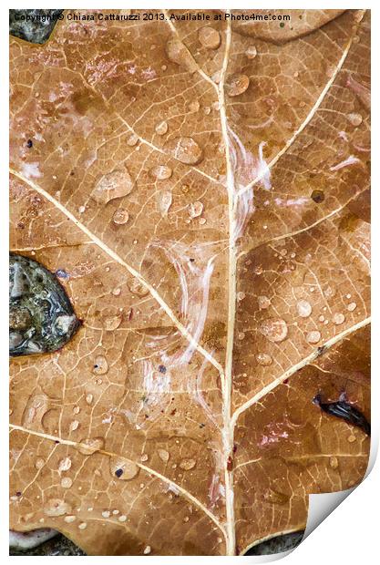 The rain on the leaf Print by Chiara Cattaruzzi