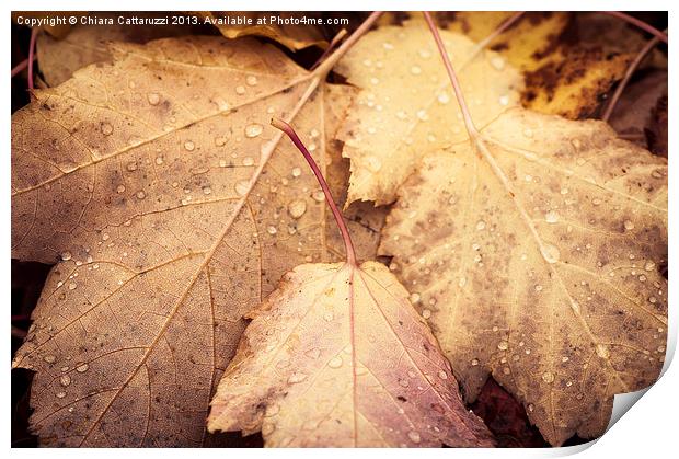 Autumn leaves Print by Chiara Cattaruzzi