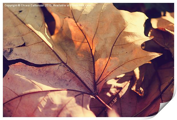 November leaf Print by Chiara Cattaruzzi