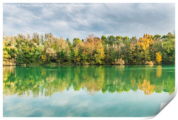  Trees and reflections Print by Chiara Cattaruzzi