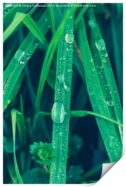 Drops of dew Print by Chiara Cattaruzzi