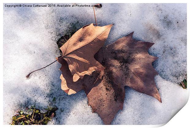  …in the white snow Print by Chiara Cattaruzzi