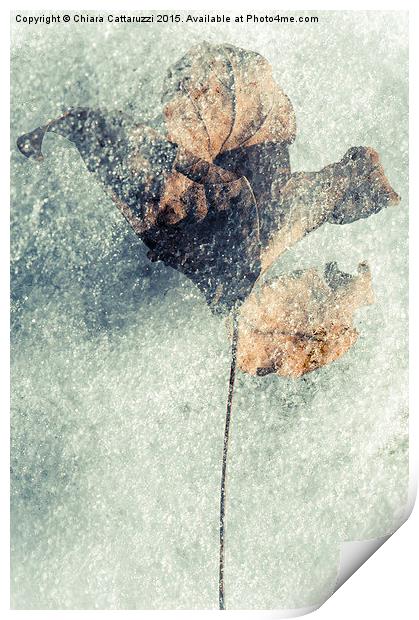  Frozen leaf Print by Chiara Cattaruzzi